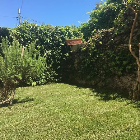 Apartment Ruderi